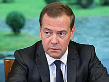 Медведев оценил эффект санкций на отношения с инвесторами