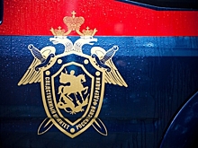 Следственный комитет начал проверку в связи с травмированием пассажиров авиарейса «Москва-Бонгкок»