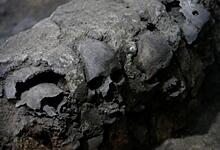 Обнаружена ацтекская башня из человеческих черепов