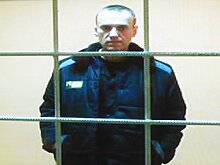 Стало известно о срыве обмена Навального* из-за МИД Германии