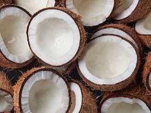 Эндокринолог Янг назвала два продукта, помогающих продлить жизнь до 100 лет