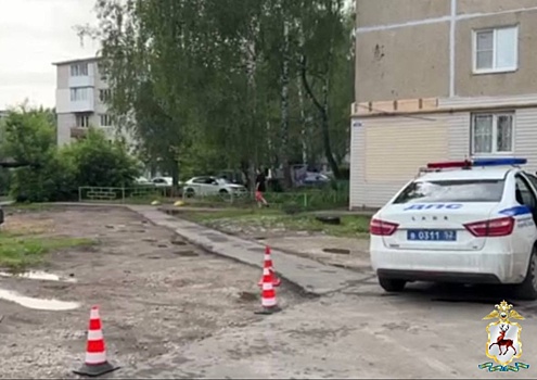 Полиция разыскала водителя, сбившего пенсионерку в Богородске