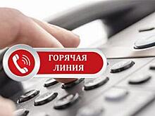 За первые шесть дней работы горячей линией психологической поддержки воспользовались порядка сорока человек