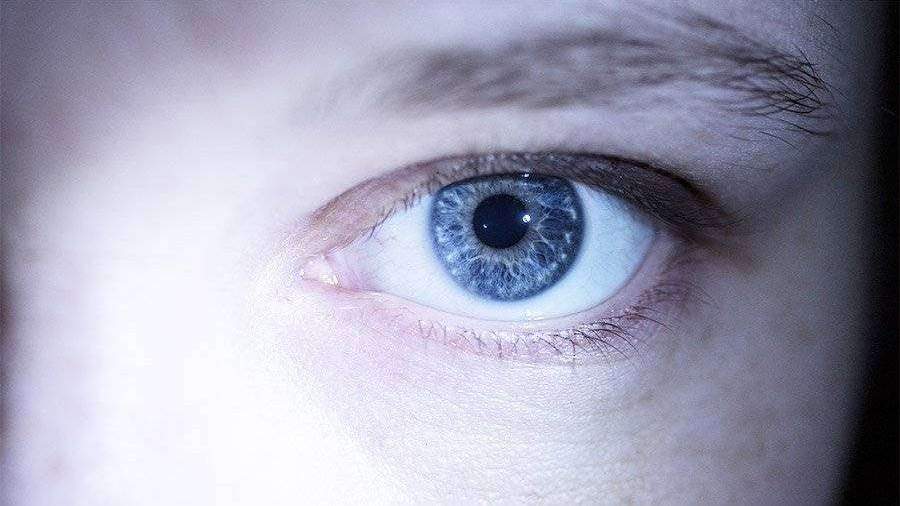 Фиолетовый оказался иллюзией человеческого зрения: выяснили ученые