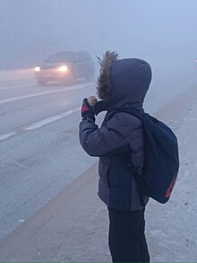 Власти Челябинска проверяют информацию о высадке безбилетного школьника из трамвая в мороз