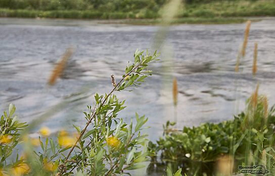 Более 277 волонтёров очистят берег реки Чусовой
