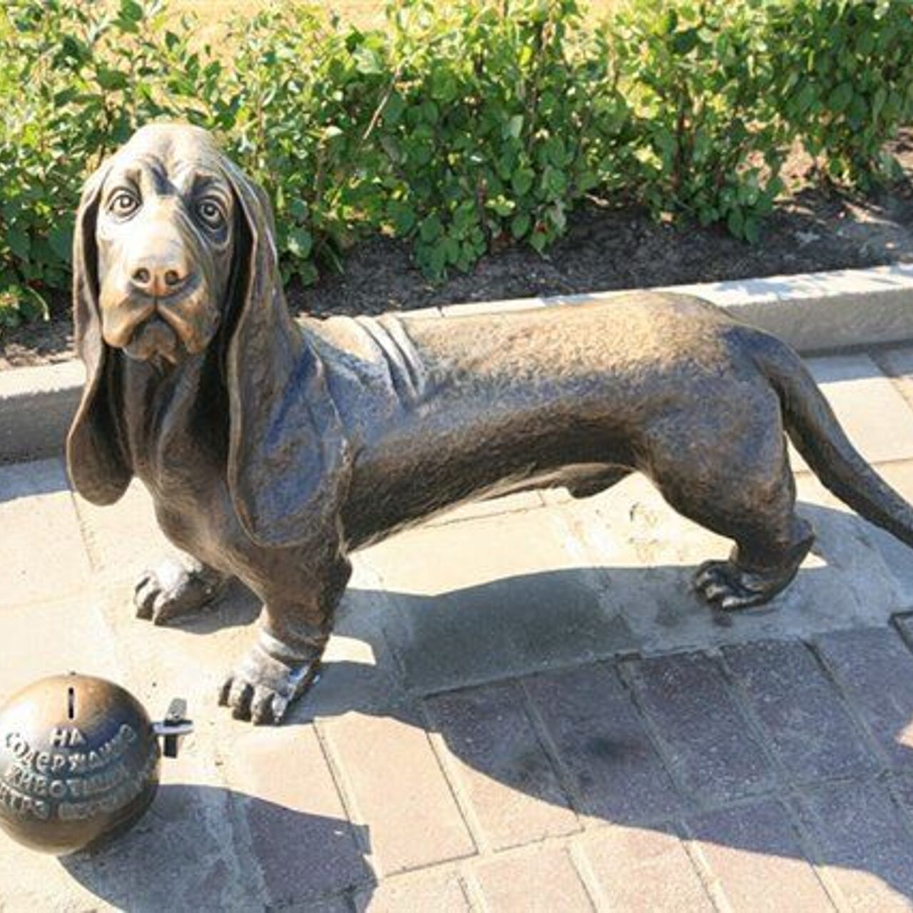 Памятник бассет хаунд кострома. Собака бобка. Пожарный пес бобка кострома. Пожарный пес бобка кострома. Кострома памятник собаке пожарнику.