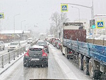 «Моментально привести город в порядок невозможно»: Дятлова об уборке снега в Калининграде