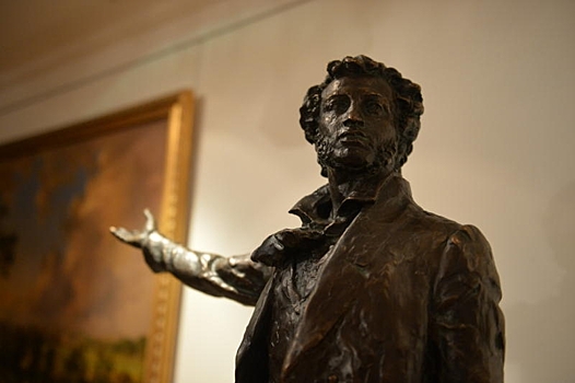 Книжная выставка в честь дня рождения Александра Пушкина открылась в Щербинке