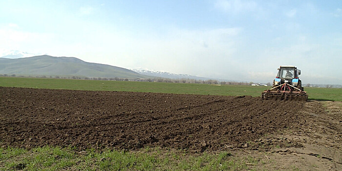 В Кыргызстане увеличили площадь посевов, сделав упор на зерновые