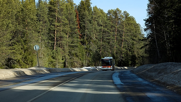 Туристические автобусы хотят пустить на выделенные полосы