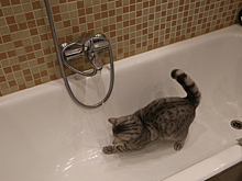 6000 домов отключены от горячей воды в зоне самой большой ТЭЦ