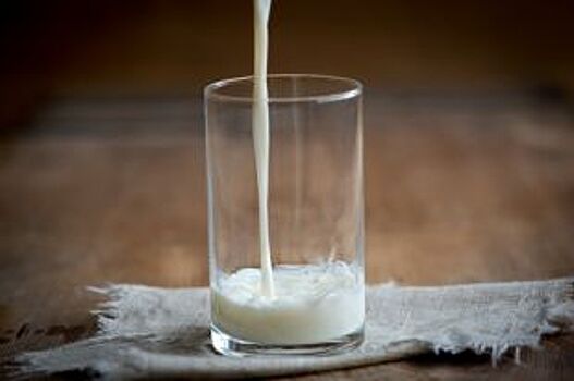 Свежесть и польза. В каких магазинах Приангарья можно найти лучшее молоко?