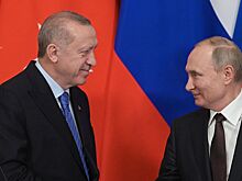 Путин назвал «Турецкий поток» важнейшей газовой артерией в Европу
