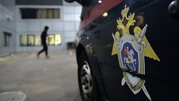 СК проводит проверку по факту смерти девочки на Урале