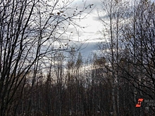 Ушел на глазах у коллег и исчез в тайге: в Якутии компания выплатит 2,7 млн семье пропавшего сотрудника