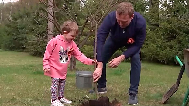 «Сад памяти»: в России до 22 июня появятся 27 миллионов деревьев в честь героев ВОВ