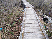 В ЯНАО жизни людей под угрозой из-за сгнившего моста