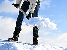 Дачников предупредили о штрафах за неубранный снег