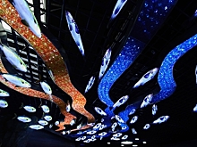 Директор Приморского океанариума остался в должности после гибели дельфина