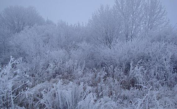 В Курской области 18 января ожидается метель и потепление до 4 градусов тепла
