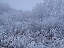 В Курской области 18 января ожидается метель и потепление до 4 градусов тепла