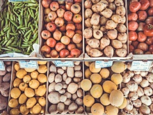 7 продуктов для мозга, которые помогут победить тревогу