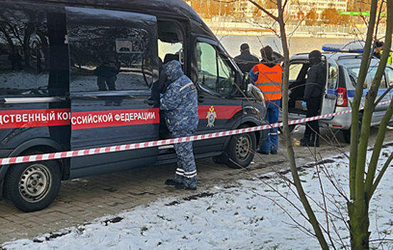 Раскрыты подробности убийства шестилетнего мальчика в подмосковной Балашихе