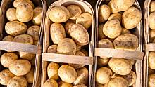 Картофель может помочь при гипертонии и сердечно-сосудистых заболеваниях