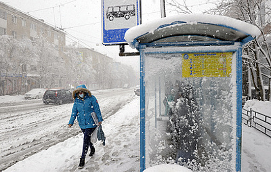 Вильфанд: снегом покрыто до 90% территории России