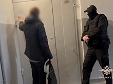МВД и ФСБ раскрыли аферу с "Пушкинскими картами" на 30 млн рублей