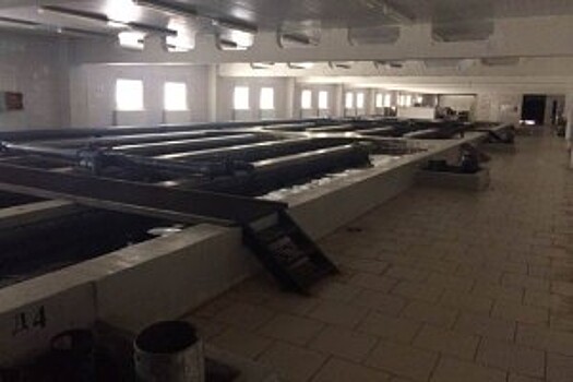 В Тверской области возбуждено дело по факту подделки черной икры
