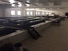 В Тверской области возбуждено дело по факту подделки черной икры