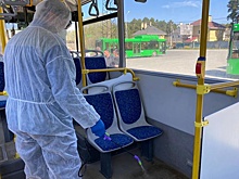 Депутатов шокировали грязные поручни и слои пыли в екатеринбургских автобусах