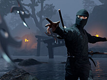 Чем не Секиро: PlayWay анонсировала Ninja Simulator
