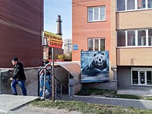 Готовы ли в Сибири поддержать запрет на торговлю алкоголем в домах