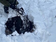 Замело снегом: в Никольске мужчина провалился в колодец