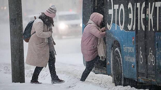 Синоптики назвали сроки «кульминации зимы» в Москве
