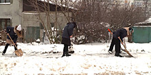 Белорусские школьники помогли пенсионерам освободиться от снежных завалов