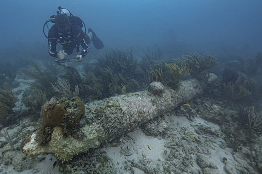 У берегов Флориды обнаружили обломки затонувшего корабля XVII века