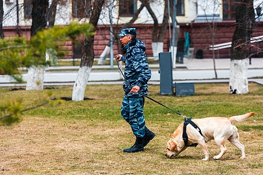 Тюменскому школьнику, которого поймали за росписью стен адресами наркосайтов, грозит лишение свободы