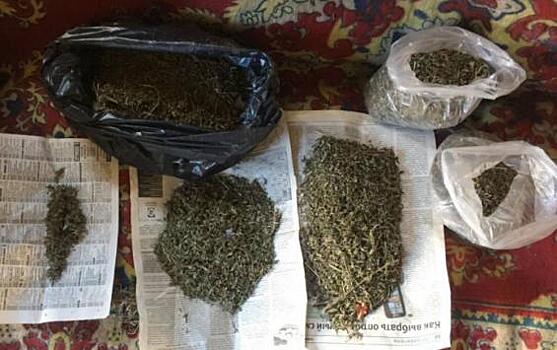 Курские полицейские рассказали о трёх недавних фактах незаконного хранения растительных наркотиков в регионе