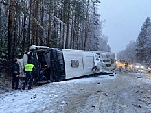В Екатеринбурге столкнулись два автобуса