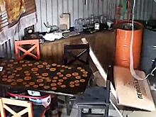 Буйный кот обвалил потолок и устроил погром в краснодарском баре (ВИДЕО)