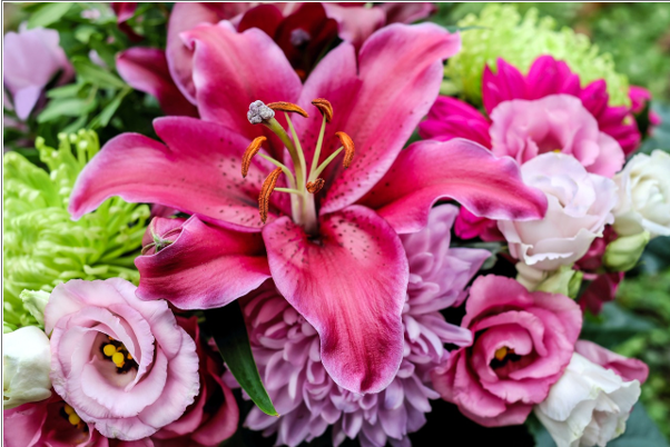 Ярмарки по продаже цветов к 8 марта заработали в Саратове
