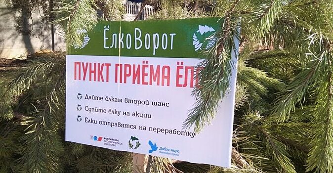 На удобрения пошли больше 500 новогодних елок симферопольцев