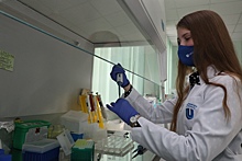 Нижегородские и бельгийские ученые открыли новые перспективы в борьбе с онкологией