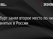 Петербург занял второе место по числу самозанятых в России