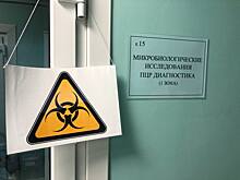 В Убинском районе Новосибирской области введён карантин по бешенству