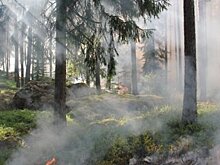 Пожароопасный период в Башкирии начнется с середины апреля